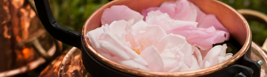 THE ART OF EXTRACTION: METHODS IN PERFUMERY